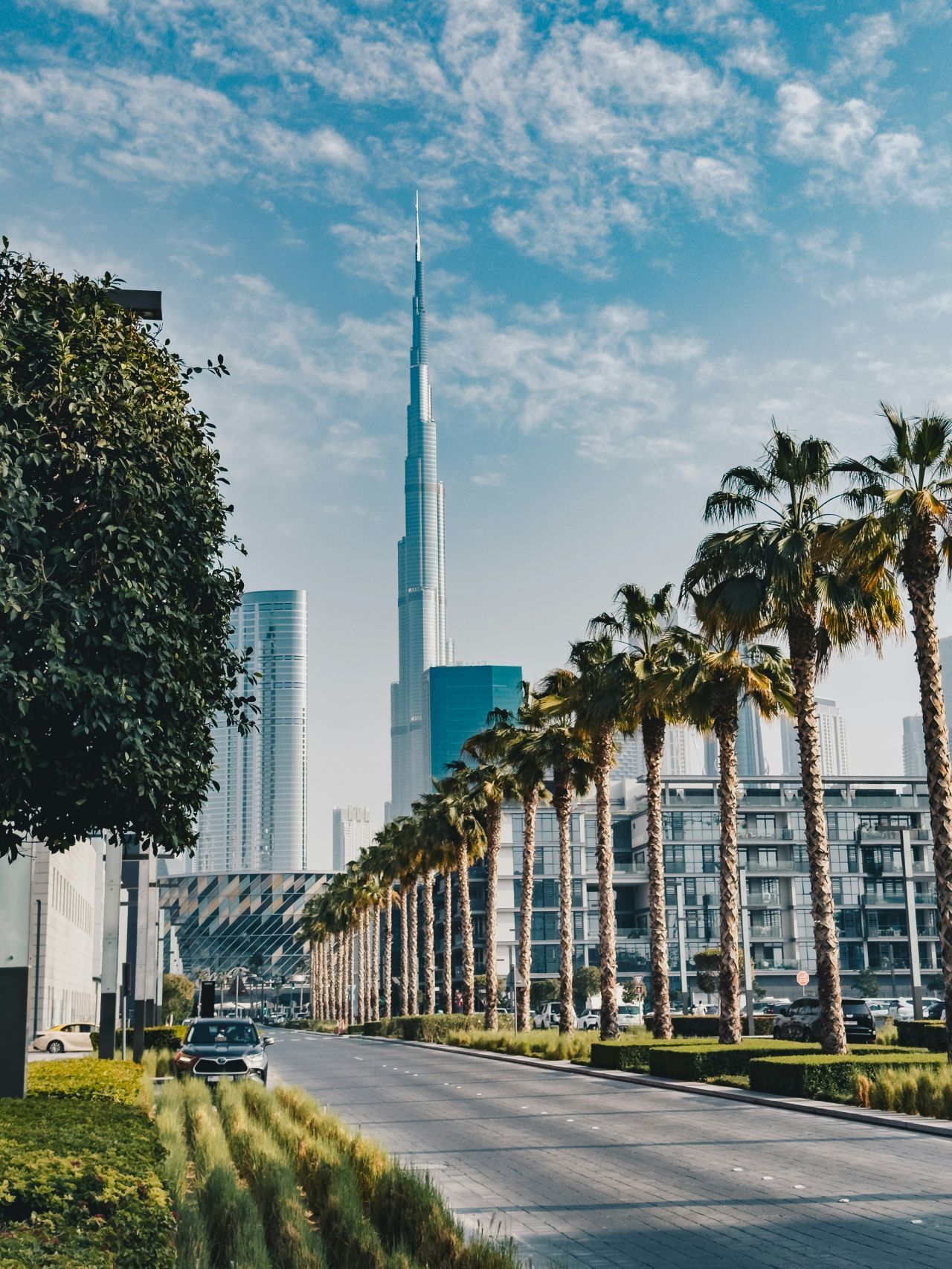 🇦🇪 Dubai doesn’t have a supply problem.