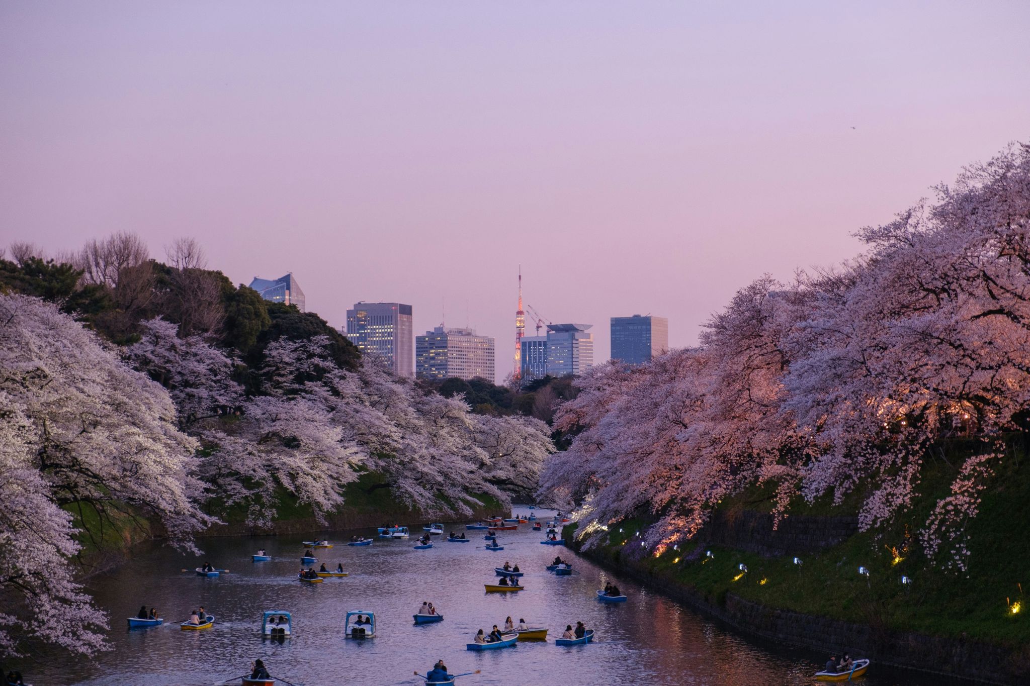 Japan's Housing Crisis Deepens as 9 Million Homes Sit Empty