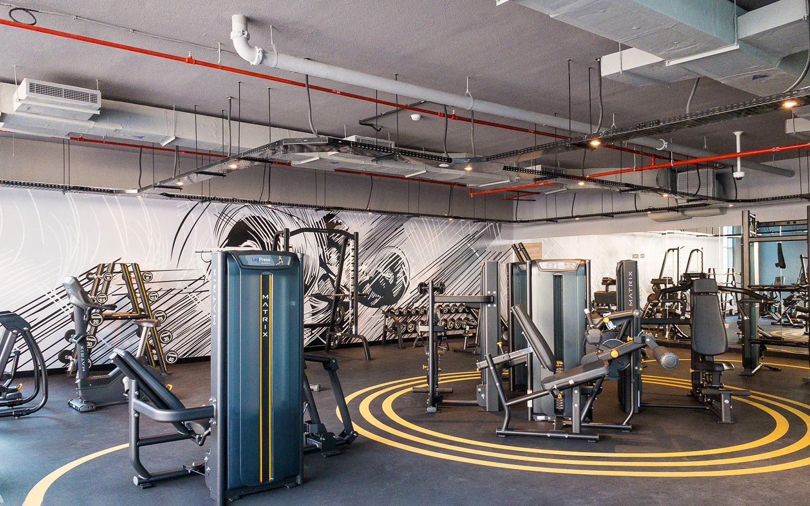 A state-of-the-art gym